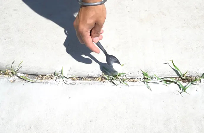 Baking Soda Kills Weeds