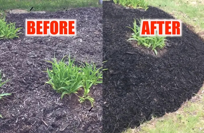 How to Choose the 'Best Mulch Color' for Old? (Buying Guide)
