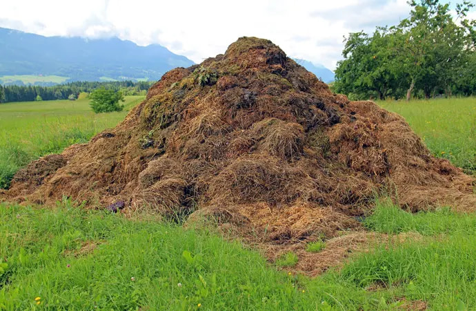 What is wrong with peat compost