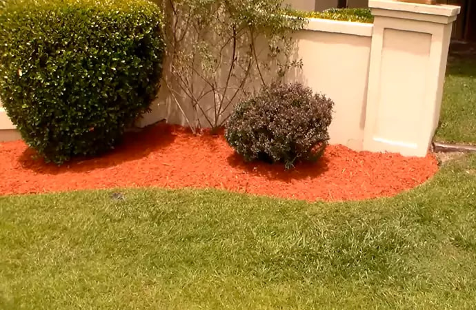 Which Mulch Is Better-Black Or Red?