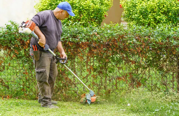 Lawn edgers are designed to create tiny and sharp edges between your lawn and paved surfaces.