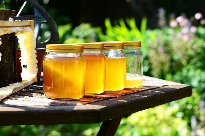 How Many Types of Honey are There?