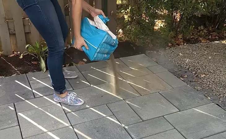 Top 9 Best Polymeric Sand for Pavers Top 9 Best Polymeric Sand for Pavers