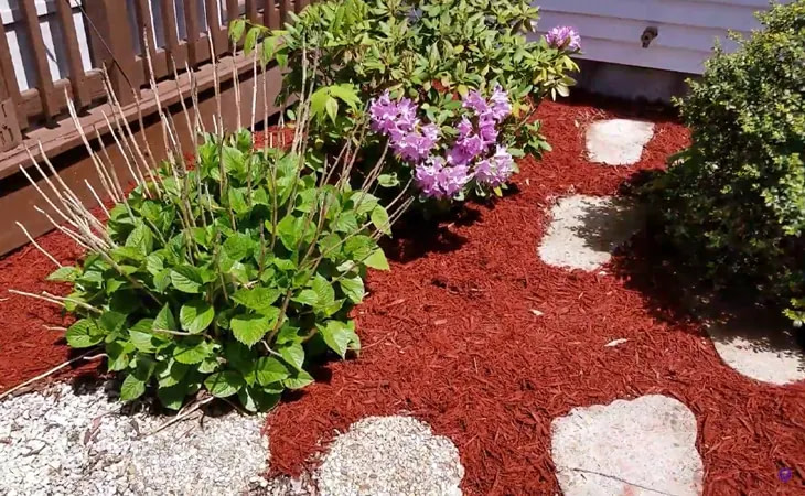 Top 9 Best Red Mulch Of 2022 Reviews And Buying Guide   Top 10 Best Red Mulch.webp